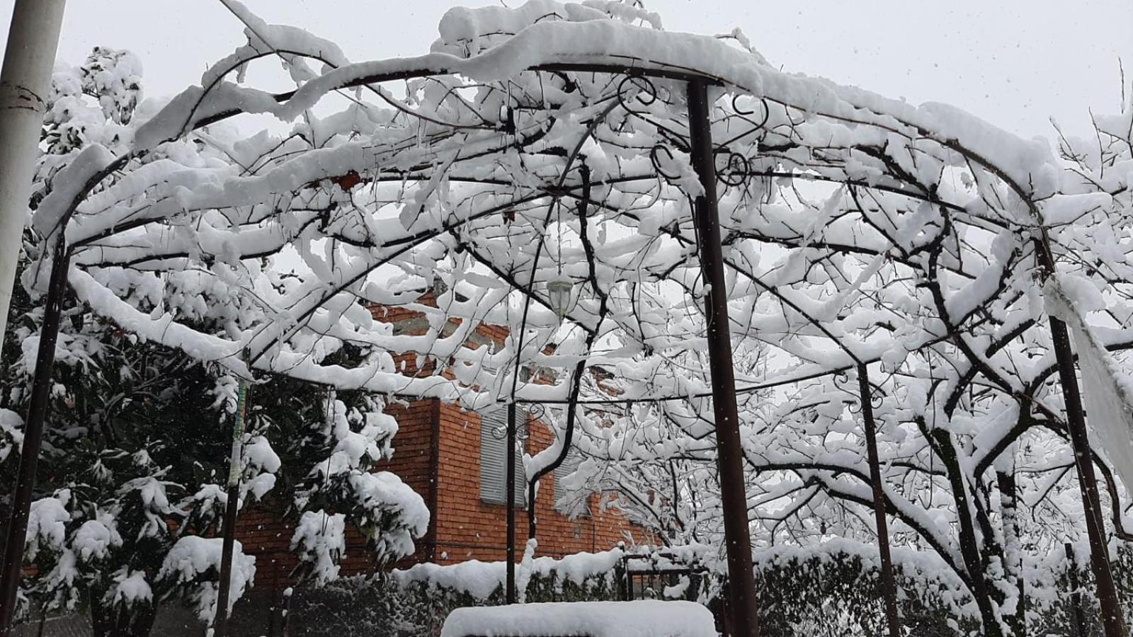 Kote.Ge Hotel Lagodekhi Buitenkant foto